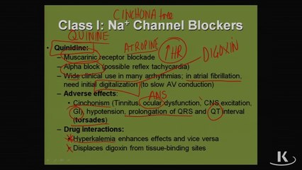 Sodium Channel Blockers - AntiArrhymtic Drugs - Cardiac & Renal Pharmacology
