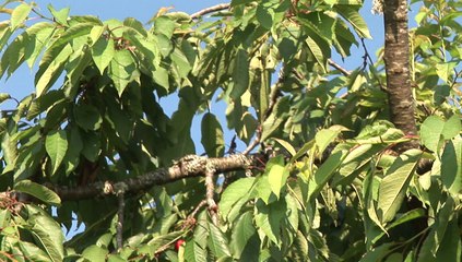 MAISON MUREL EDOUARD PRESENTATION