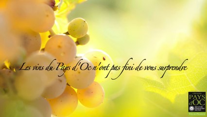 Pays d'Oc IGP - Spot Radio 4 - Grande distribution