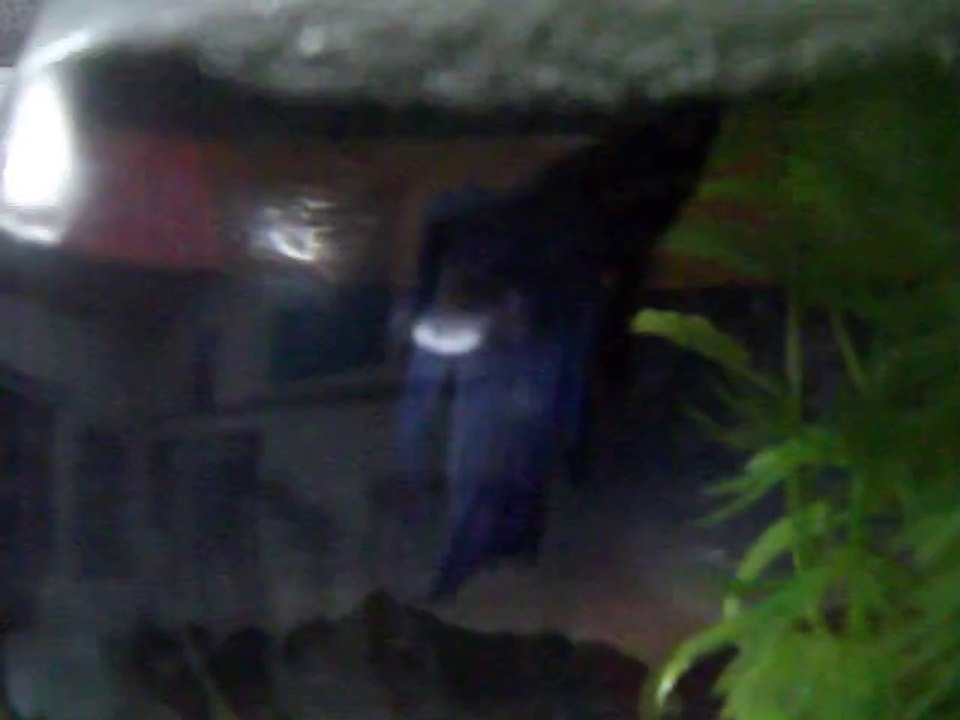 DSCF1085