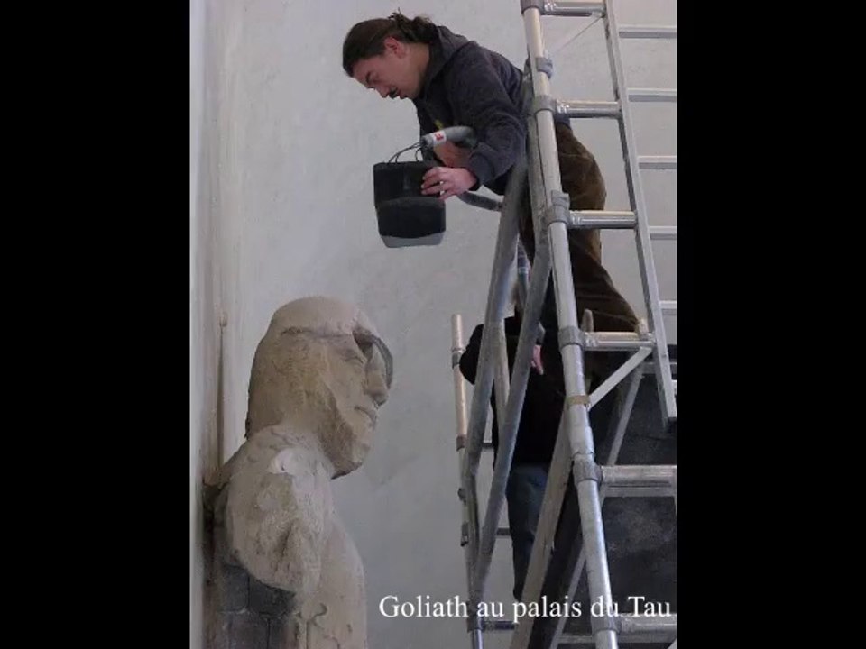 Goliath au Palais du Tau
