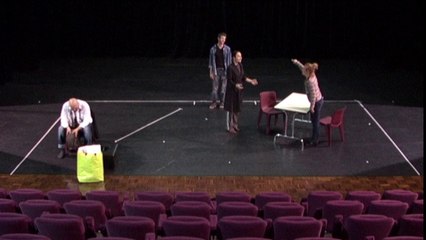 Démo Hermann 5 min | Théâtre de la Ramée 2014 🎭