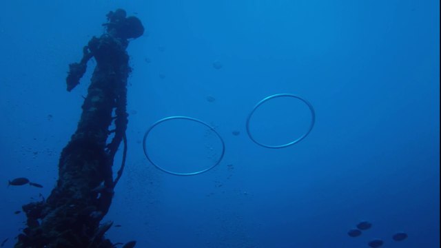 Diving Guadeloupe plongée ilets Pigeon sur le Gustavia en janvier 2014