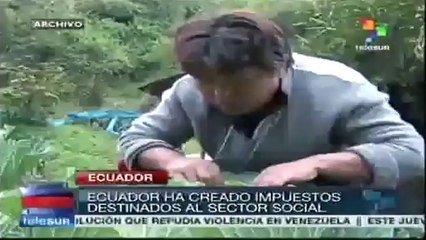 Pobreza, desigualdad y desempleo notoriamente disminuidos en Ecuador