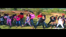 Tame Sakalu Sakalu Song | Tanka Tate Salaam Oriya Movie | Latest Oriya Video