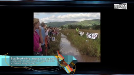 La Matinale BDM TV - Kimfu