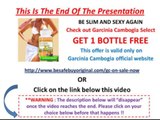 PURE GARCINIA CAMBOGIA EXTRACT- What Makes An EFFECTIVE Garcinia Cambogia Extract (3)