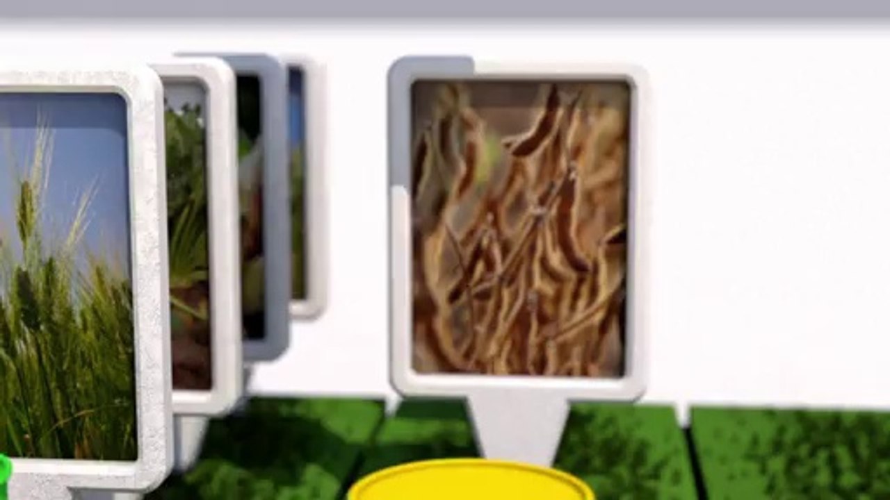 Biofuels