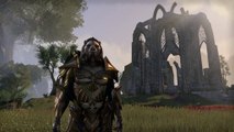 The Elder Scrolls Online : les développeurs montrent une session avec le crafting et le forgeron à Tamriel