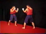 Muay Thai - Kicks - Trainings Program