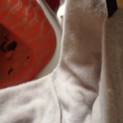 S*Sacred Heart's Sieur Athos, chocotabby birmankitten, playing and falling ;)