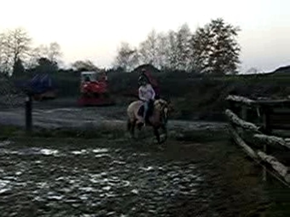 nirvana galop
