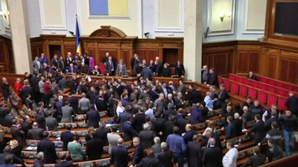 Ukraine protests: Fight breaks out in parliament building