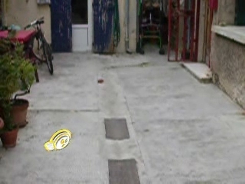 MiniZ avec brushless mamba 8000