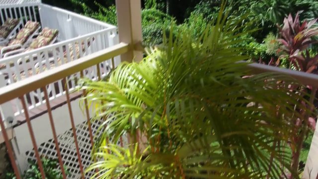 Oceanview two Bedroom Apartment for Rent in St. lucia