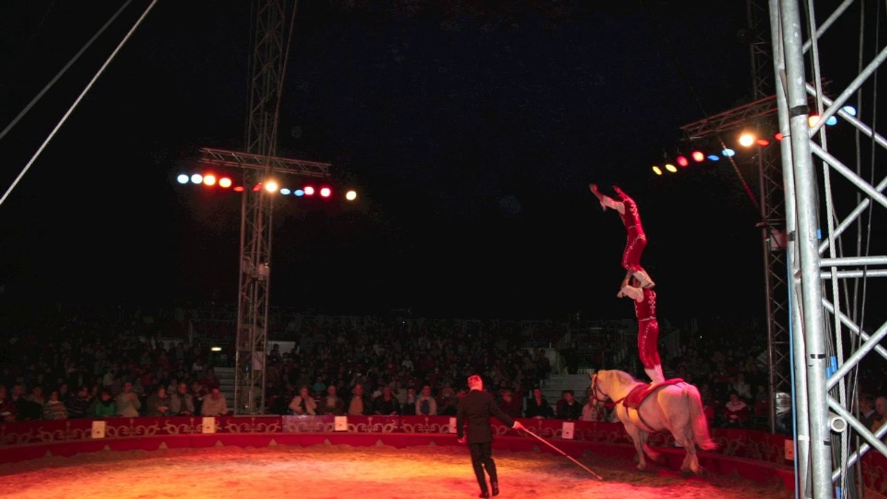 Sin-le-Noble : Dans les coulisses du cirque éducatif