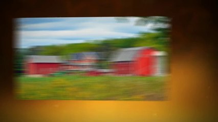 Mortgage Broker Edmonton