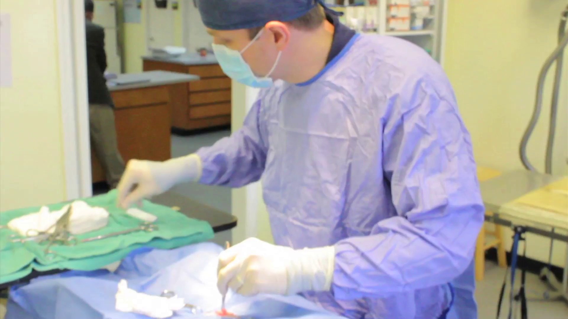 ⁣Welcome to Palmetto Veterinary Medicine & Surgery