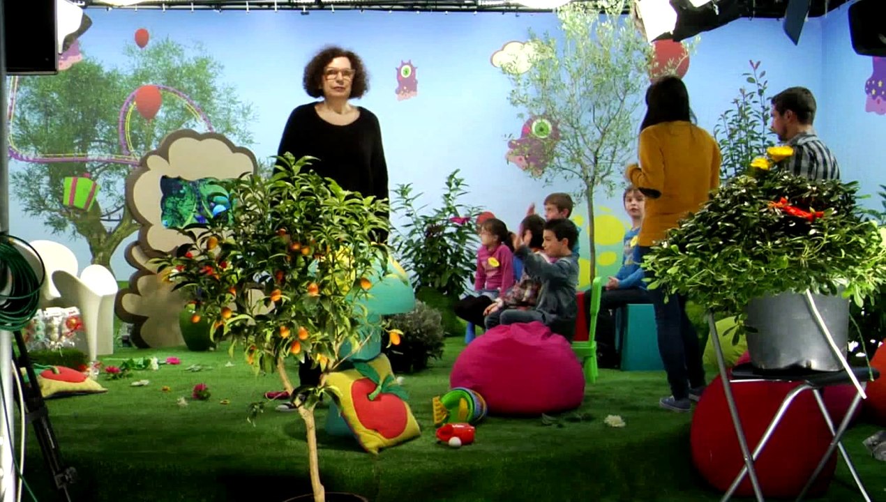 Sophia-MPEG-4