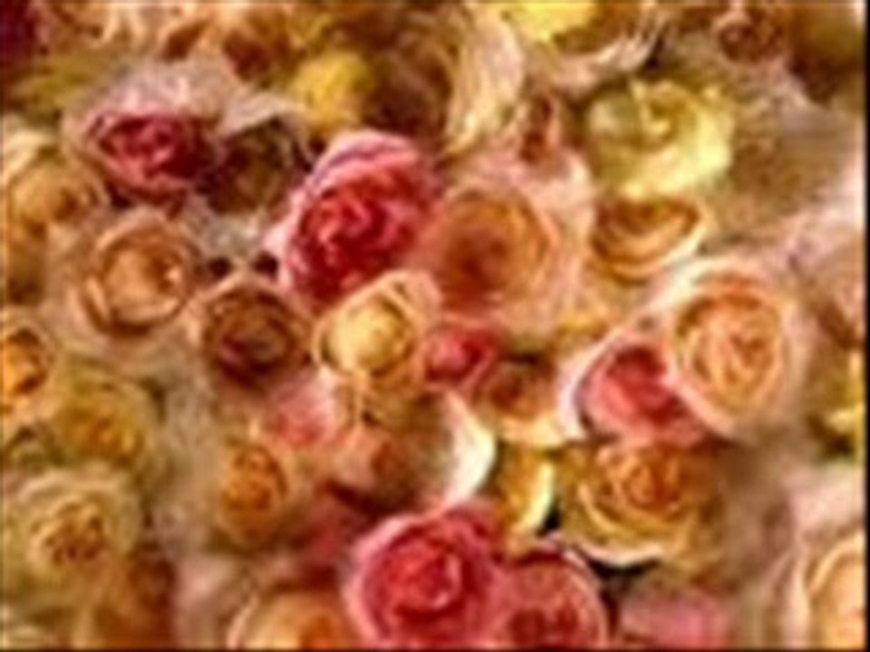 HÜSEYİN GÖKDEMİR - SALINDI BAHCEYE GİRDİ