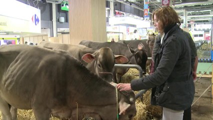 AFP - Le JT, 2e édition du vendredi 21 février. Durée: 01:49