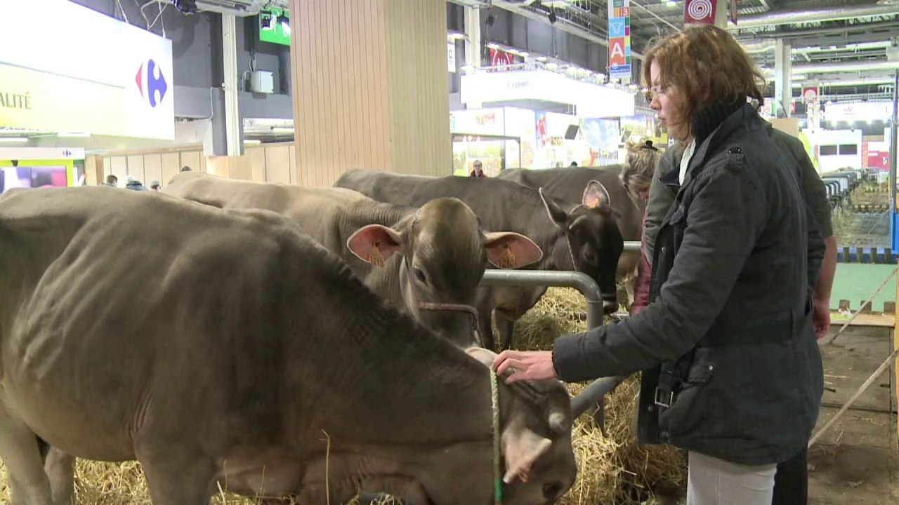 AFP - Le JT, 2e édition du vendredi 21 février. Durée: 01:49