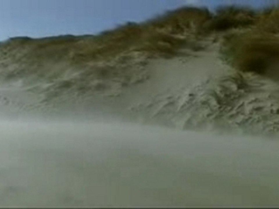 RBSC_Online_Trailer