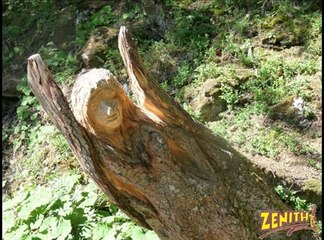 BALADE LE LONG D'UN BISSE