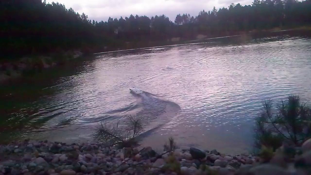 catamaran rc