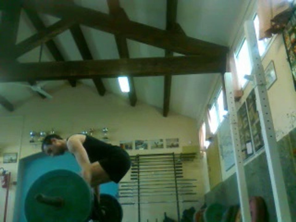 SDT 81 kg