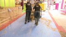 Salon de l'agriculture: les derniers préparatifs