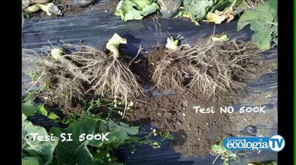 ALLEANZE - Lavorare uniti per il futuro della biodinamica