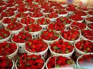 send flowers to pakistan