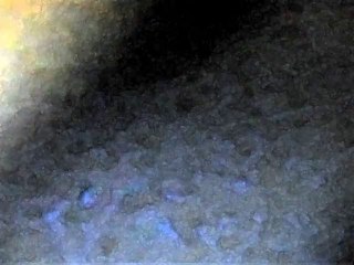 Zero Project...Winter Princess