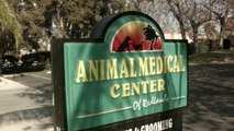 Welcome to Animal Medical Center of Redlands