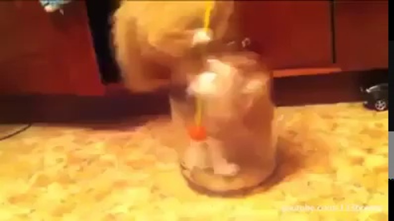 Interesting Things