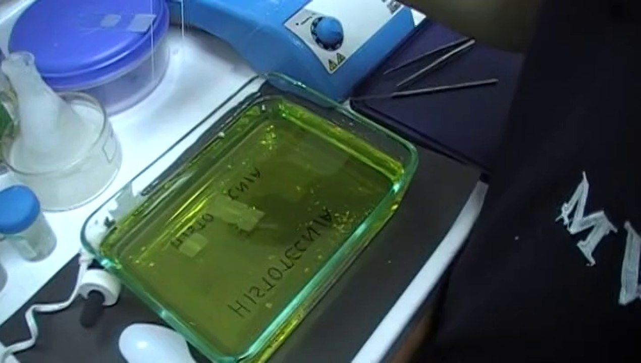 microtomia y baño de flotación.