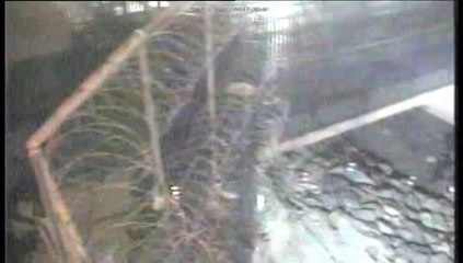 Interior difunde las imágenes de la tragedia de Ceuta