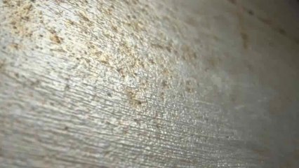 Logo Stamping - After Effects Template