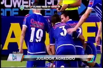 Sochi 2014: un lobo se metió al hotel de concentración de los atletas