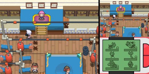 Pokémon Pt: Max% [14] Badge Pavé