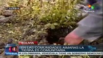 Bolivia: cultivos de papa de campesinos aymaras, totalmente arruinados