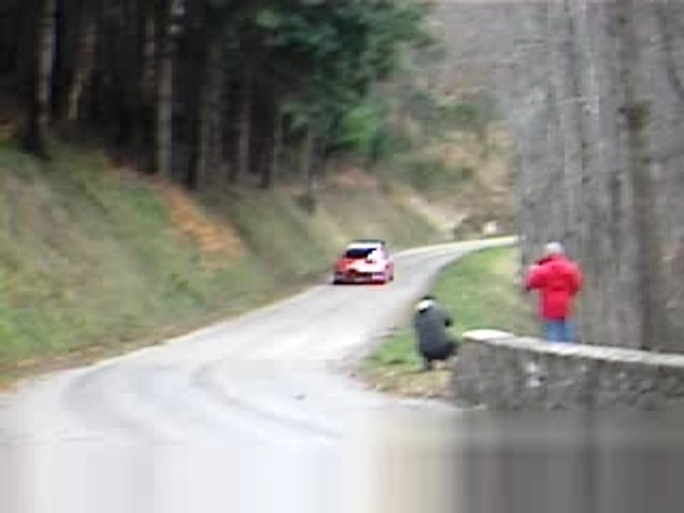 Sordo - C4 WRC