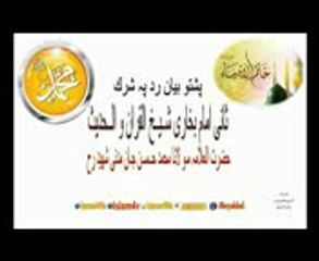 نوی بیان  rad pa shark_