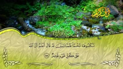 اواخر سورة البقرة بصوت القارئ صديق المنشاوي