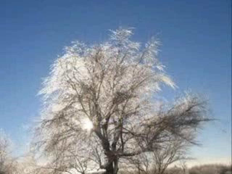 Balade au mont royal à Montréal