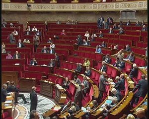 EXÉCUTION DES DÉCISIONS DE JUSTICE ET CONDITIONS D’EXERCICE DE CERTAINES PROFESSIONS RÉGLEMENTÉES (Vote solennel) - Mercredi 30 Juin 2010