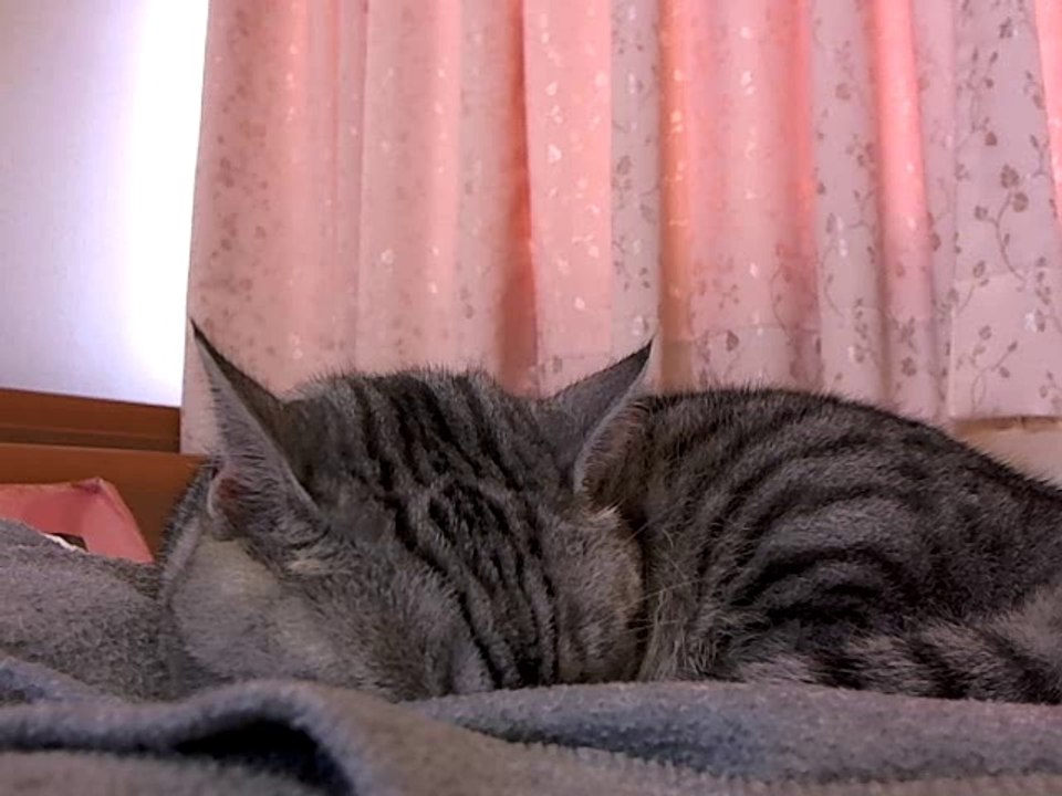 ちぃ_ねむさん垂れ流し