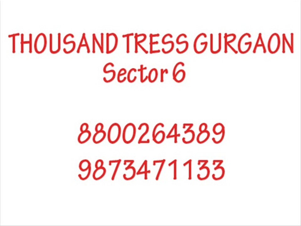 Thousand Trees Gurgaon 8800264389/ 9873471133 sector 6 %$