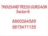 Thousand Trees sohna road @ 8800264389 Gurgaon sector 6 ((**&&&^^^